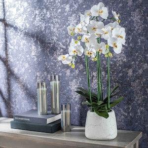 Large Real Touch Multi Bloom Lux White Phalaenopsis Orchid Flowering Plant in Marble Look Pot - 35"
