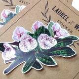 Vintage Orchid Botanical Illustration - Vinyl Sticker Laptop Decal