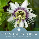 Passion Flower Seeds:  - Grow Your Own Ornamental Vine Indoors Or Grow Tropical Fruits Outdoors!