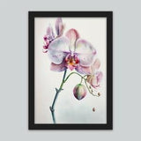 Orchid Watercolor Wall Art Print