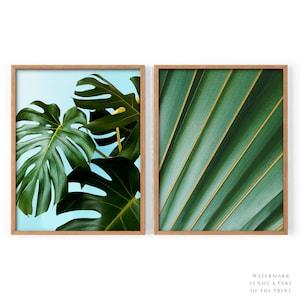 Green Set of 2 Print, Monstera leaf, Cactus Poster, Palm leaves, Aesthetic Room, Succulent Plant, Tropical Wall Art, Spring Summer, 3