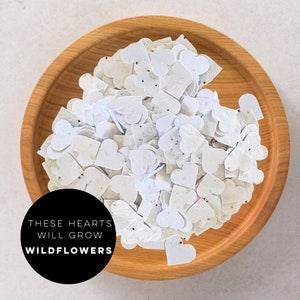Mini plantable paper hearts-paper hearts-seed paper hearts-seed paper-wedding favours-wedding favours-plantable hearts-hearts-wedding-seeds
