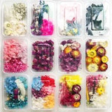 1 Box Mixed Real Dried Flowers Leaves For DIY Craft Candle Resin Jewelry Making