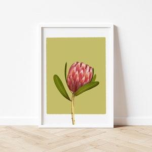 King Protea Wall Art | Botanical Abstract Poster for Nursery, Bedroom, Bathroom, Living Room, Floral Room Decor, Minimalist Printable Art