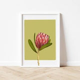 King Protea Wall Art | Botanical Abstract Poster for Nursery, Bedroom, Bathroom, Living Room, Floral Room Decor, Minimalist Printable Art