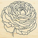 Single Ranunculus Flower STAMPENDOUS Wood Mounted Rubber Stamp NEW W206