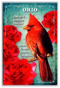 Cardinal Carnation State Bird Flower of Ohio 6x4 Continental Size UNP Postcard