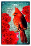Cardinal Carnation State Bird Flower of Ohio 6x4 Continental Size UNP Postcard
