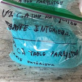 Water Soluble Fertilizer 20-20-20 300g