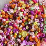 Real Dried Flowers Set Art Craft Epoxy Resin Candle Making Kit Jewelry C1G2