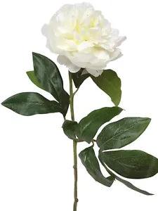 (01805-34465) Artificial Flower Individual Peony Paeonia White
