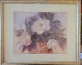 Vintage Print Common White Peony Paeonia Officinallis L. Chang Matted 17.5x21.5
