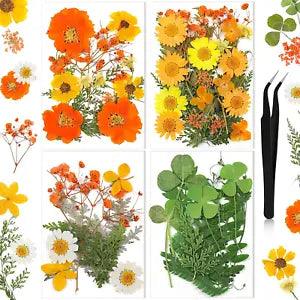 Nuanchu Pressed Flowers Resin Flowers for Resin Mold, Real Daisy Dried Flower Le