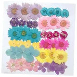 Pressed Dried Flowers Pressed Leaves - Filler Ornaments