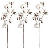 Rustic Cotton Flowers Artificial Cotton Stems Dried Cotton Stem Branches