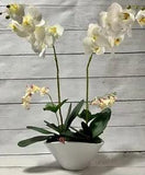 Large artificial White Orchid Flowers Arrangement in White Ceramic Vase