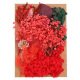 Natural Dried Flowers Multiple Real Dried Pressed Flowers Plant Red Series