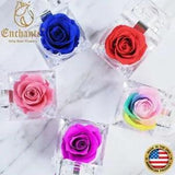 REAL Preserved Eternity Forever Rose Ring Box Proposal Mother's Day Special Gift