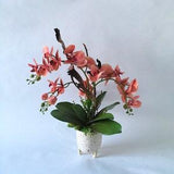 Real touch faux orchid arrangement; Coral Phalaenopsis orchid