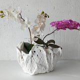 Double handmade white planter. Extra large unique orchid pot. Modern ceramic vase.