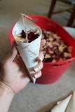 Flower Cones with Dried Flower Petals ?? DIY DARLING Flower Delivery