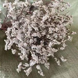 Crystal Grass Natural Fresh Dried Preserved - Real Flower Branch Home Decoration