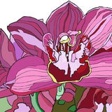 Purple Orchid