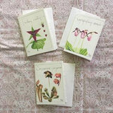 Wild Flowers Thank you Card Set - 3 small cards - Wild Orchid - Carnivorous plant - Watercolour Painting - North American Flowers