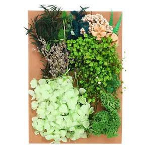 Natural Dried Flowers Multiple Real Dried Pressed Flowers Plant Green Series