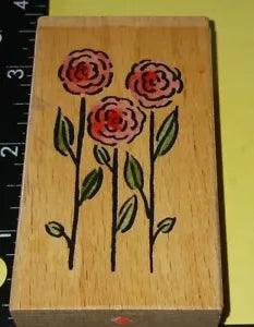 Three pink flowers, carnations,B910, whispers, Sugarloaf