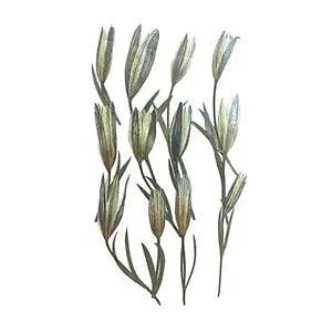 12 Pieces Dried Lilies Dried Flowers for Phone Case Photo