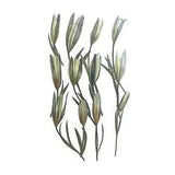 12 Pieces Dried Lilies Dried Flowers for Phone Case Photo