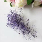 5 Packs Dried Flowers DIY Preserved Pressed Dried Eternal DIY Accessories...