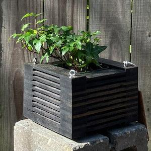 187. Salvaged Ebonized Black Walnut Wood Hanging Basket Planter for Orchids, Bromeliads, Ferns, Cacti, Other Epiphytes and Succulents