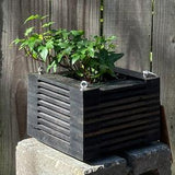 187. Salvaged Ebonized Black Walnut Wood Hanging Basket Planter for Orchids, Bromeliads, Ferns, Cacti, Other Epiphytes and Succulents