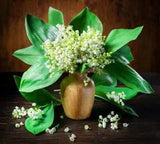 Diamond Painting Flower Lily Of The Valley Design Embroidery House Wall Displays