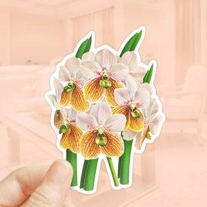 Orchids Sticker, Vanda Sanderian Flower, Die Cut Sticker, Water Bottler Sticker, Laptop Decal, Vinyl Sticker, Flower Sticker, Waling-waling