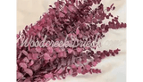 PRESERVED DYED PINK EUCALYPTUS FLORAL FOLIAGE FILLER FLOWER SCENTED