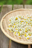 eating and drinking a large bouquet of small flowers... Flower Delivery