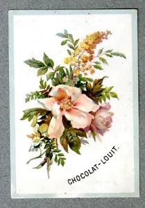 Chromo Louit PEONY PEONY Flower Bouquet Flower Romanticism Victorian Trade Card