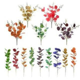 5pcs Eucalyptus Leaves Branches Stems Dried Flower Plant Ornament for DIY...