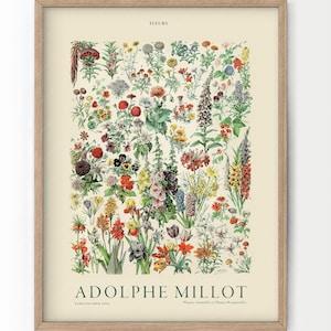 Flower Print, Adolphe Millot Poster, Vintage Flower Poster, Botanical Wall Art, Vintage Plants, Gift Idea