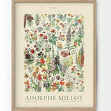 Flower Print, Adolphe Millot Poster, Vintage Flower Poster, Botanical Wall Art, Vintage Plants, Gift Idea