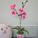 Pink orchid in handmade pot