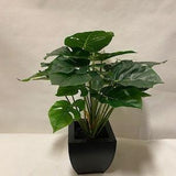 Artificial Potted Monstera 20"