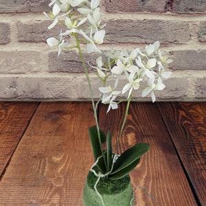 Artificial Phalaenopsis Orchid W/O pot. Silk Flower Floral Arrangements