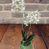 Artificial Phalaenopsis Orchid W/O pot. Silk Flower Floral Arrangements