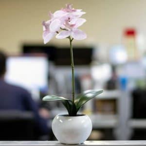 Pink Butterfly Faux Orchid in Pot decorative/office decor/table decor