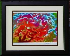Gorgeous Peony Flower. Photography by Audrey