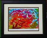 Gorgeous Peony Flower. Photography by Audrey